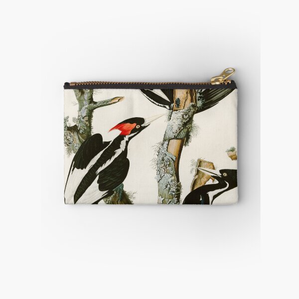 Item preview, Ivory-billed Woodpecker by John James Audubon designed and sold by Natural History Prints.