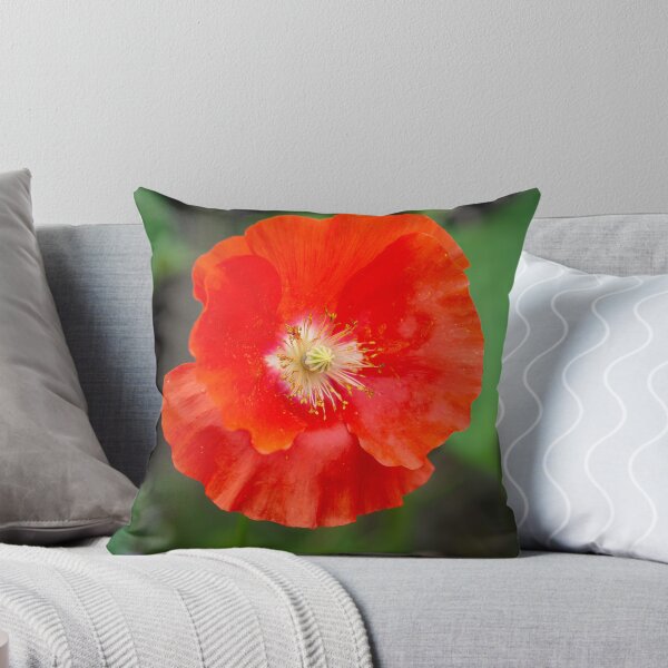 Item preview, Shirley Poppy 2022-1 designed and sold by Thomasyoung.