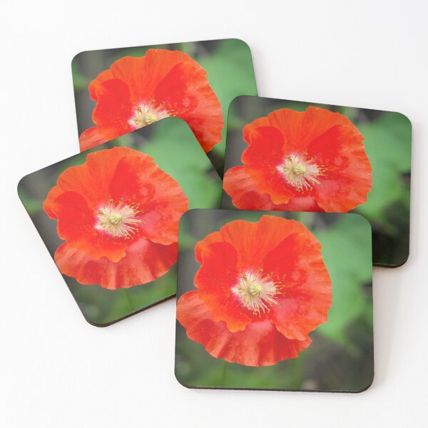 Item preview, Shirley Poppy 2022-1 designed and sold by Thomasyoung.