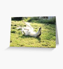 borzoi enjoying the sun Greeting Card