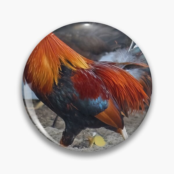 Item preview, Rooster on the Move designed and sold by bertsworks300.
