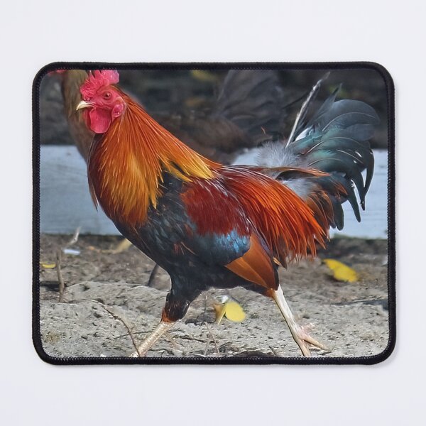 Item preview, Rooster on the Move designed and sold by bertsworks300.