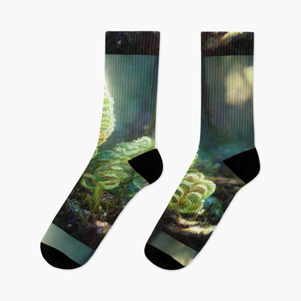 Item preview, Awakening / Ferns Unfurling in the Forest / Digital Painting designed and sold by RadicalWombat.