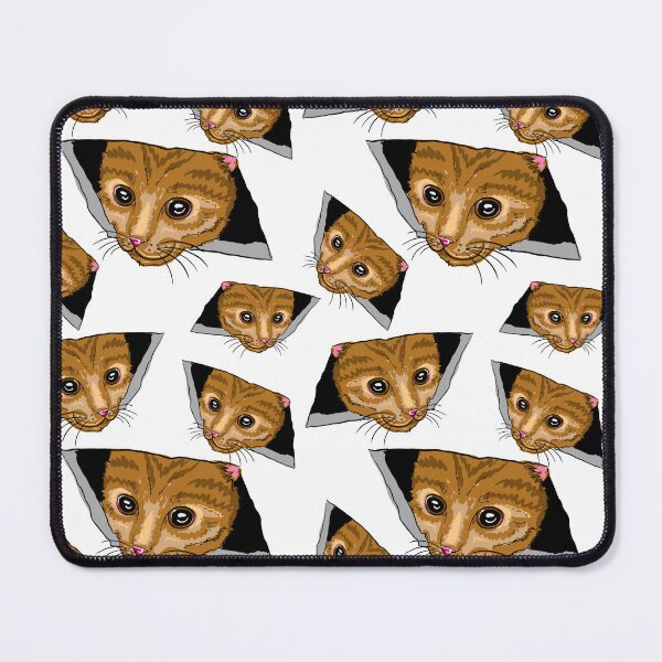 Aperçu de l'œuvre chat de plafond créée et vendue par RaenaCreates.