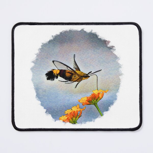 Item preview, Hummingbird Hawk Moth designed and sold by Heathermarie321.