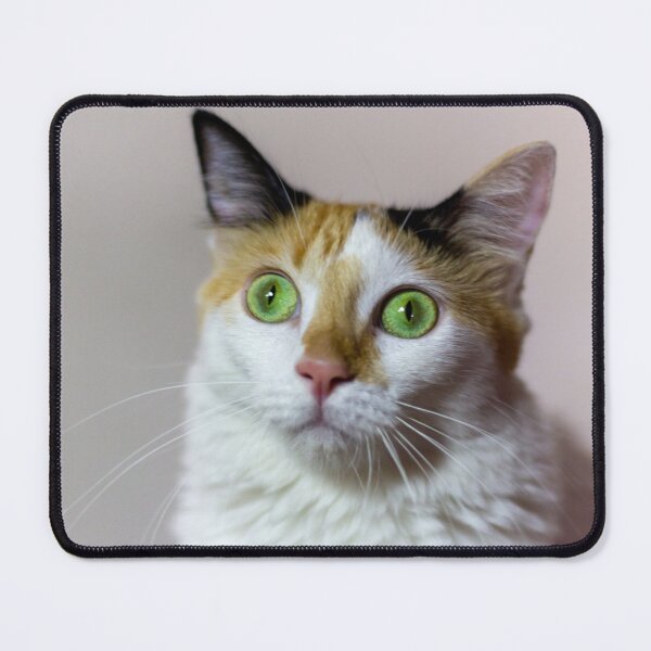 Item preview, the cat designed and sold by ricobarinas.