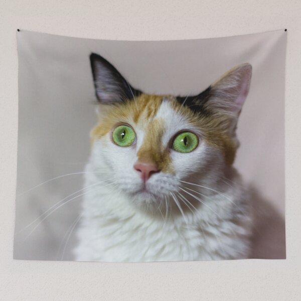 Item preview, the cat designed and sold by ricobarinas.