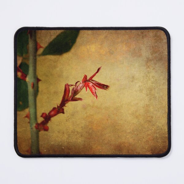 Item preview, Becomes the Rose designed and sold by Ellen Cotton.