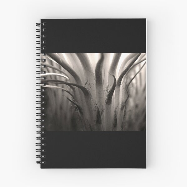 Item preview, Cactus Bloom in Sepia designed and sold by Ellen Cotton.