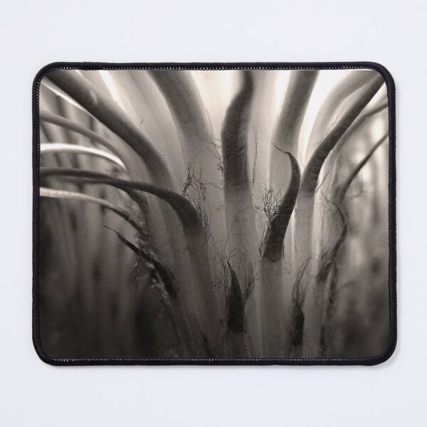 Item preview, Cactus Bloom in Sepia designed and sold by Ellen Cotton.