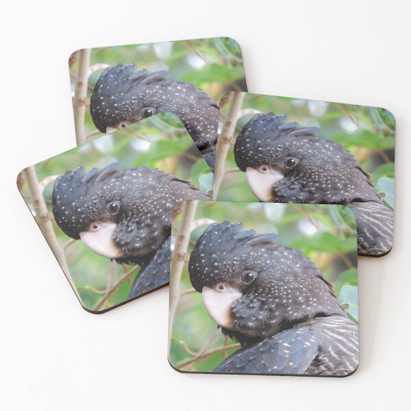 Item preview, Female Forest Red-tailed Black Cockatoo - Western Australia designed and sold by Marilyn Harris.