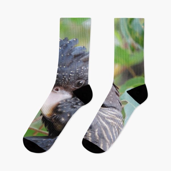 Item preview, Female Forest Red-tailed Black Cockatoo - Western Australia designed and sold by Marilyn Harris.