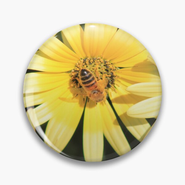 Item preview, Honey Bee collecting pollen from a Bright Yellow Daisy designed and sold by Marilyn Harris.