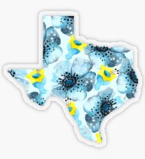 Texas Transparent Sticker