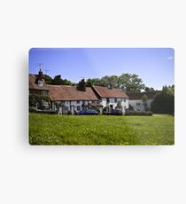 Village green Metal Print