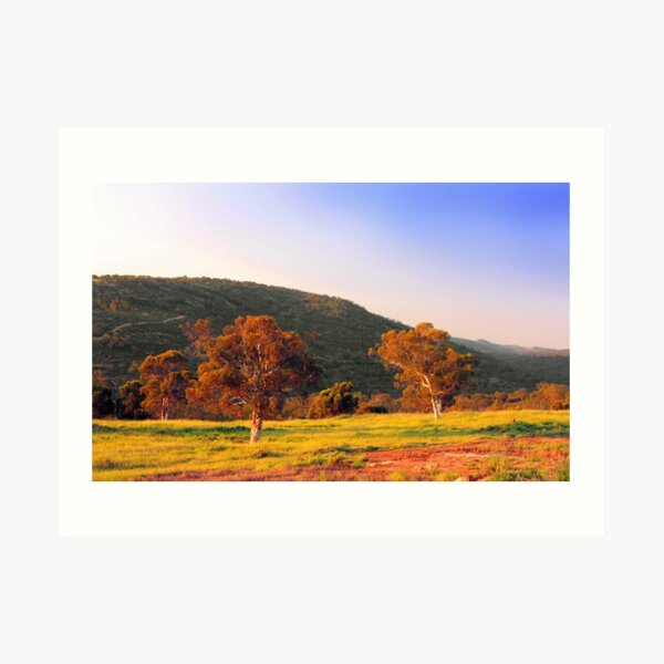 Swan Valley - Western Australia Art Print