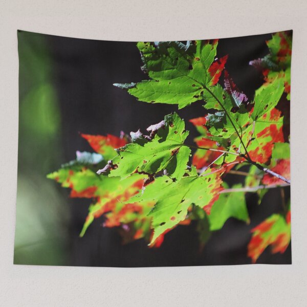 Item preview, Fall Leaves Turning designed and sold by magicmeese.