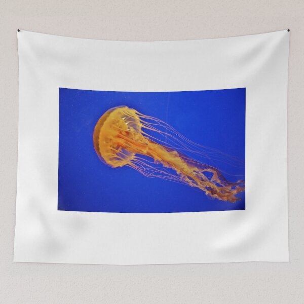 Item preview, Sea Nettle Jellyfish designed and sold by Cynthia48.