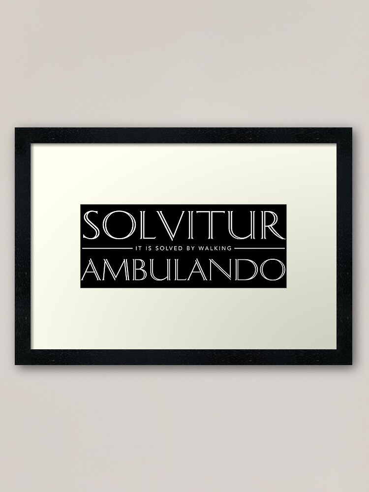 solvitur ambulando shirt