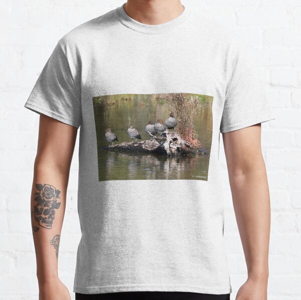 Australian Woodducks (3847) Classic T-Shirt