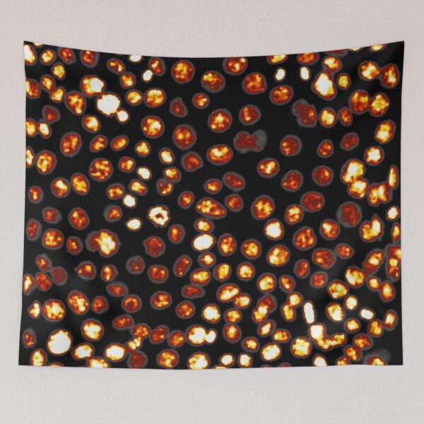 Item preview, Gold nuclei in epithelial cells. Express yourself with cellular biology! designed and sold by ArtByScience.