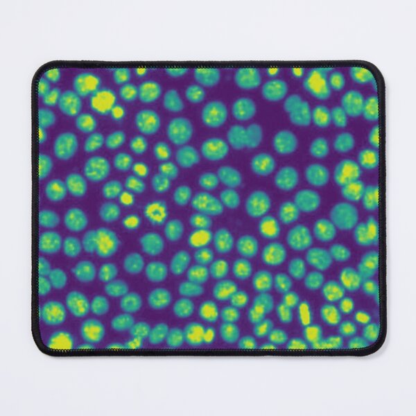 Item preview, Green nuclei in epithelial cells. Express yourself with cellular biology! designed and sold by ArtByScience.