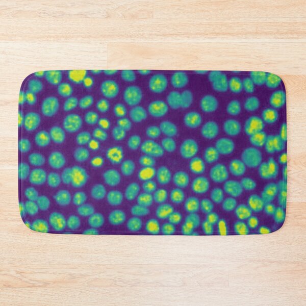 Item preview, Green nuclei in epithelial cells. Express yourself with cellular biology! designed and sold by ArtByScience.