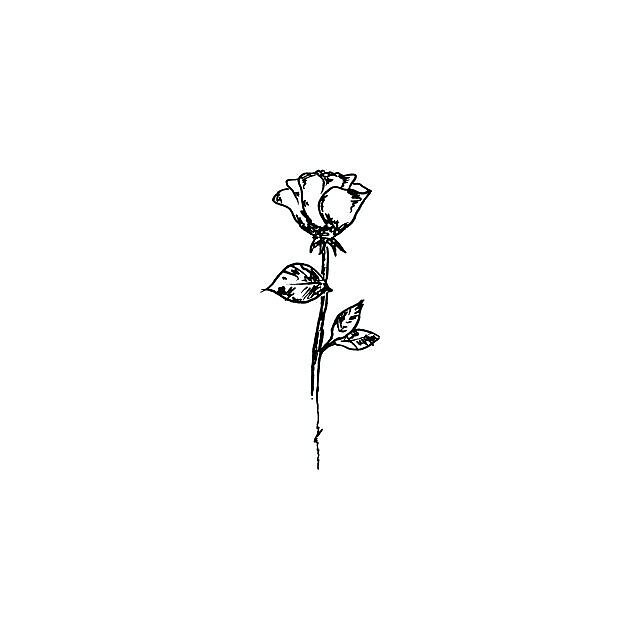 Aesthetic Rose By Twentyoneplots Redbubble