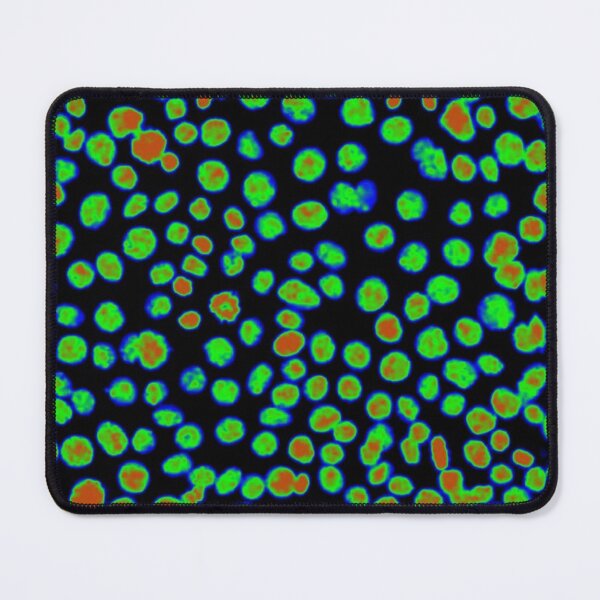 Item preview, Red and Green nuclei in epithelial cells. Express yourself with cellular biology! designed and sold by ArtByScience.