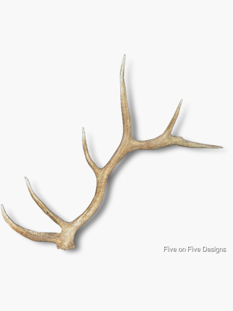 "Elk Antler " Sticker by LorelynMayr Redbubble