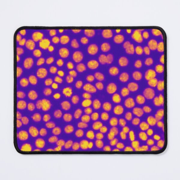 Item preview, Orange and purple nuclei in epithelial cells. Express yourself with cellular biology! designed and sold by ArtByScience.