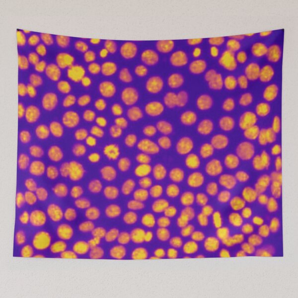 Item preview, Orange and purple nuclei in epithelial cells. Express yourself with cellular biology! designed and sold by ArtByScience.