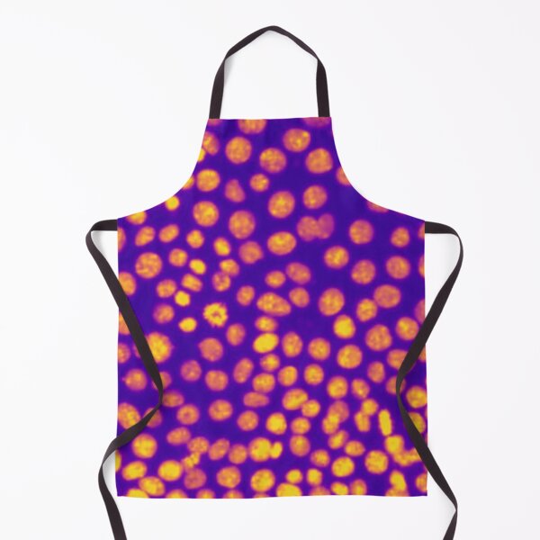 Item preview, Orange and purple nuclei in epithelial cells. Express yourself with cellular biology! designed and sold by ArtByScience.