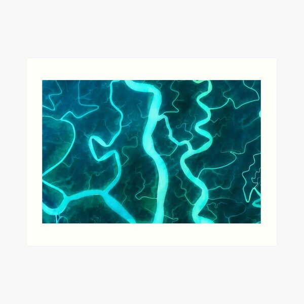 Sundarbans National Park Mangrove Forest Art Print