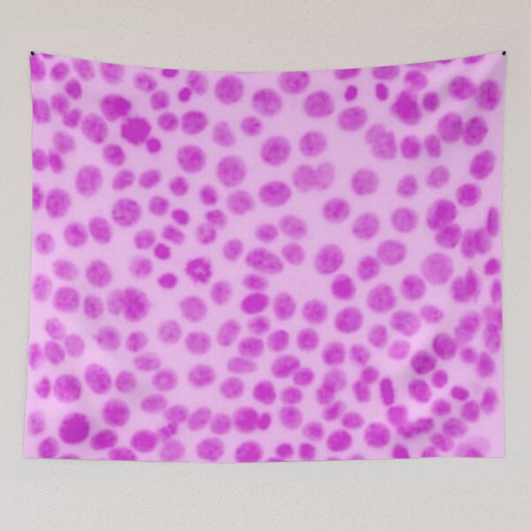 Item preview, Pastel pink nuclei in epithelial cells. Express yourself with cellular biology! designed and sold by ArtByScience.