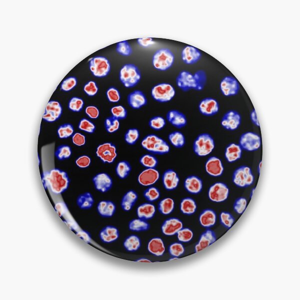 Item preview, Red white and blue nuclei in epithelial cells. Express yourself with cellular biology! designed and sold by ArtByScience.