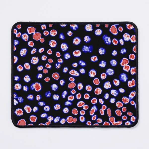 Item preview, Red white and blue nuclei in epithelial cells. Express yourself with cellular biology! designed and sold by ArtByScience.