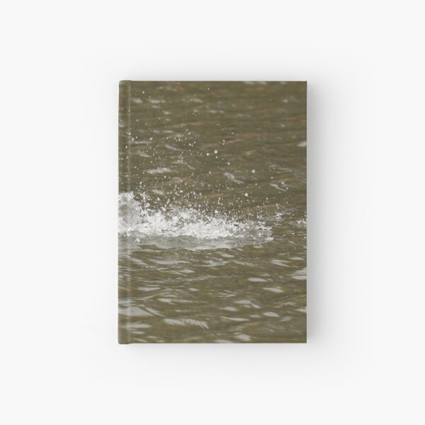 Chestnut Teal - male (556) Hardcover Journal