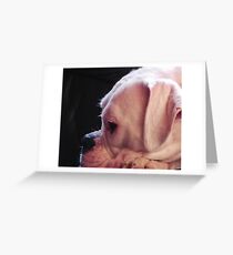 Lilli Greeting Card