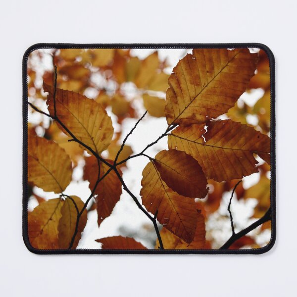 Item preview, Autumn Leaves designed and sold by ArtEntwined.