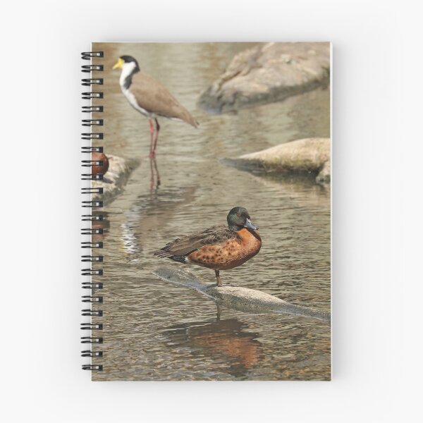 Item preview, Chestnut Teal - male (587) designed and sold by Emmy Silvius.