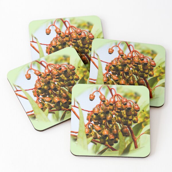 Item preview, Haslam gumnuts designed and sold by indiafrankk.