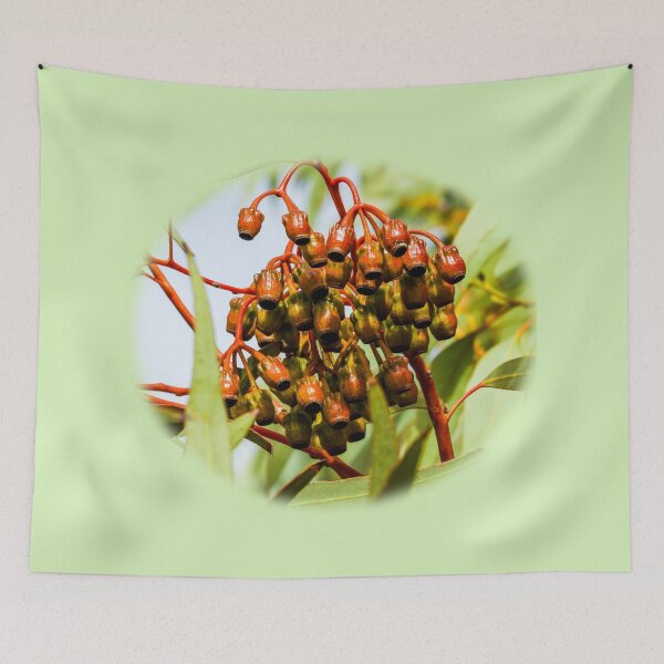 Item preview, Haslam gumnuts designed and sold by indiafrankk.