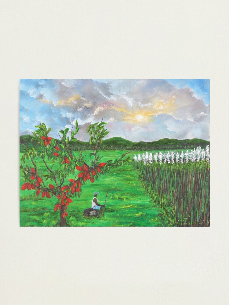 Alternate view of Cocoa plant Photographic Print