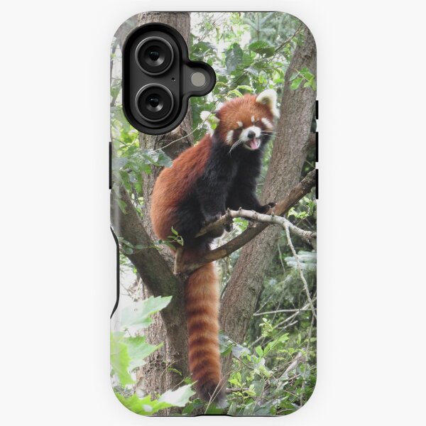 Vista previa del artículo con la obra «Panda rojo», diseñado y vendido por brooklevan.