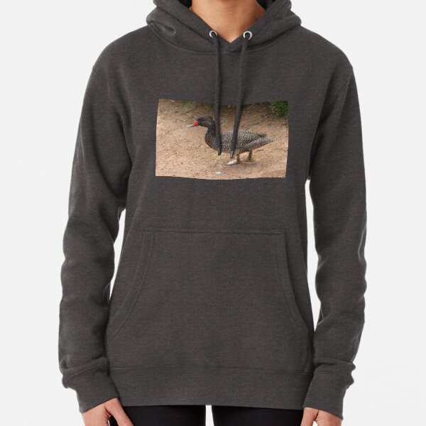 Freckled Duck (893) Pullover Hoodie