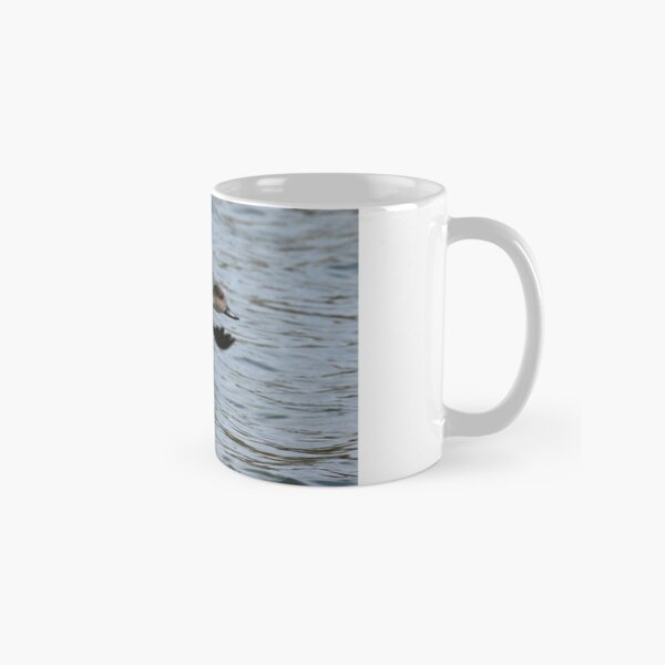 Grey Teal in flight (1018) Classic Mug