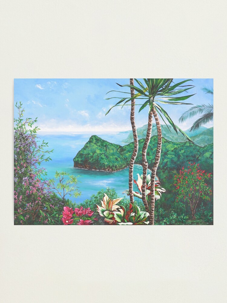 Alternate view of Northern Coast Photographic Print