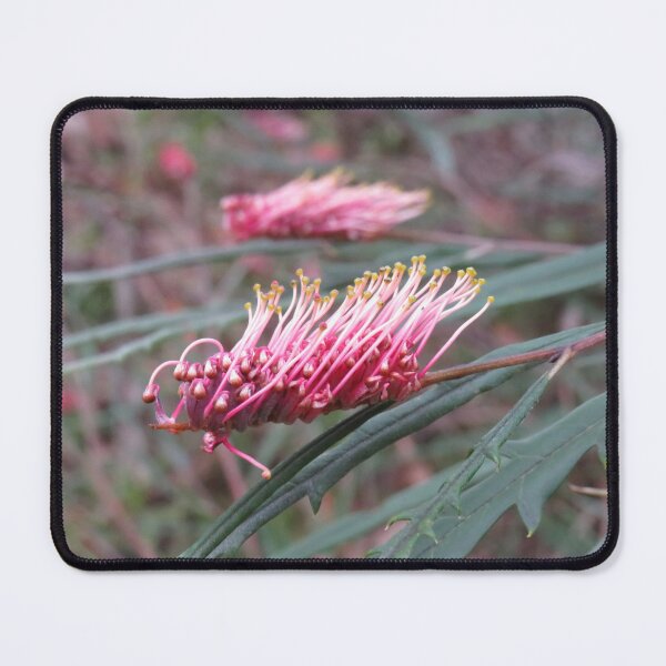 Item preview, Rosy pink grevillea designed and sold by greentiger1.