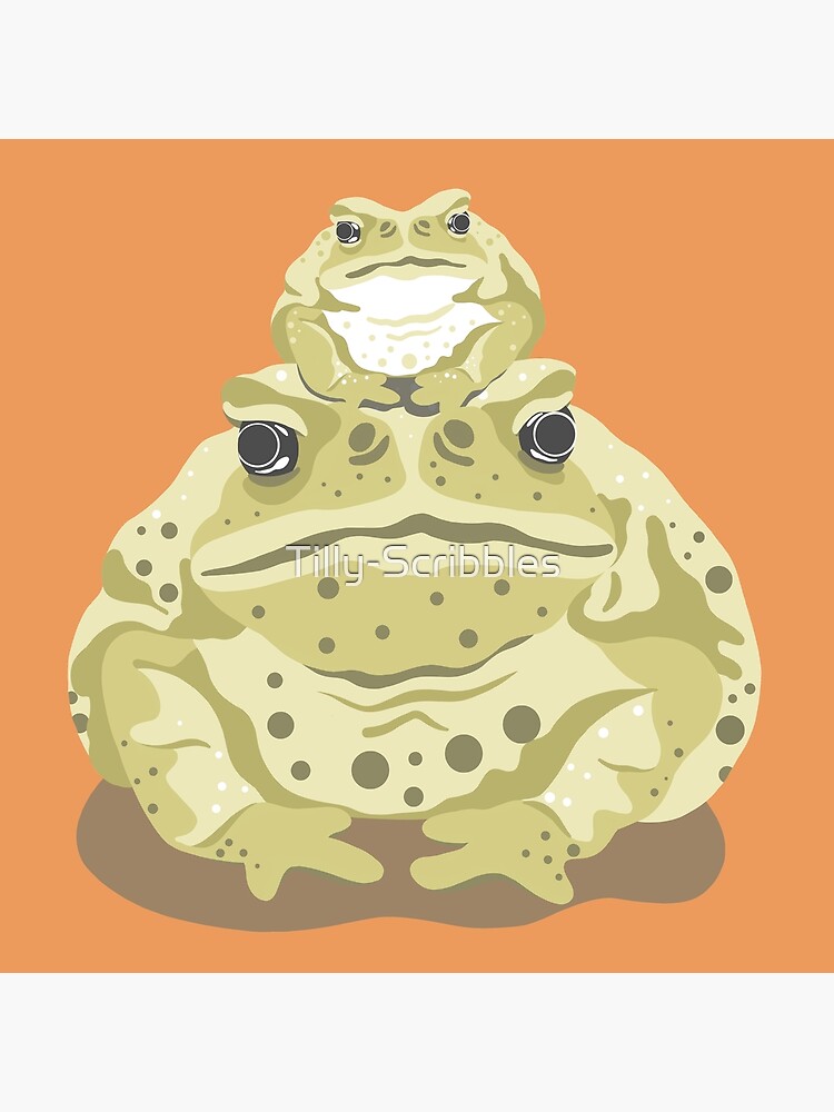 "Cane Toads" Poster for Sale by TillyScribbles Redbubble